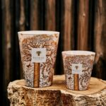 sacred trees dualla baobab max24