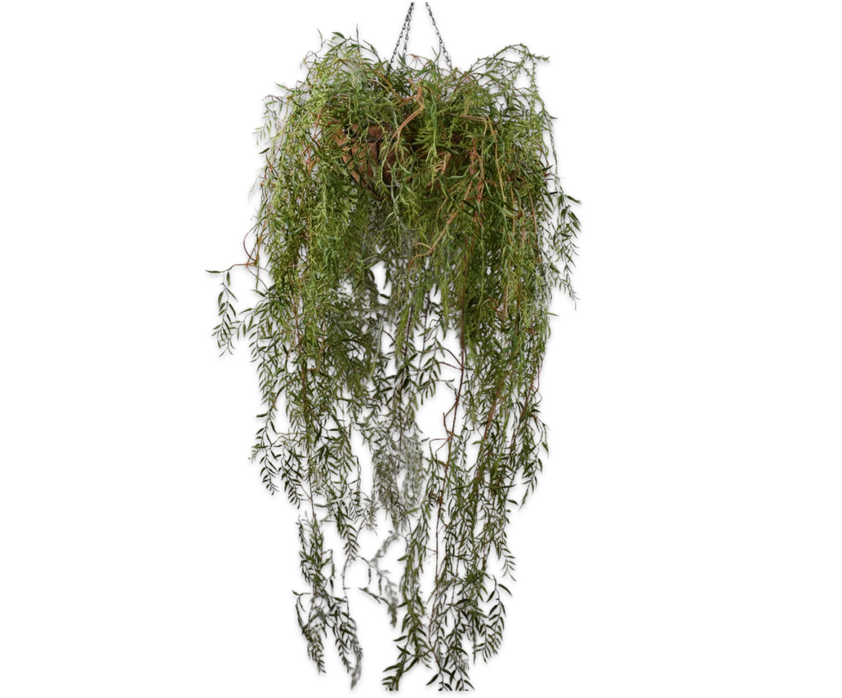 PLANT HANG GROEN 150 cm
