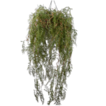 PLANT HANG GROEN 150 cm
