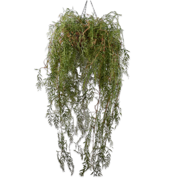 PLANT HANG GROEN 150 cm