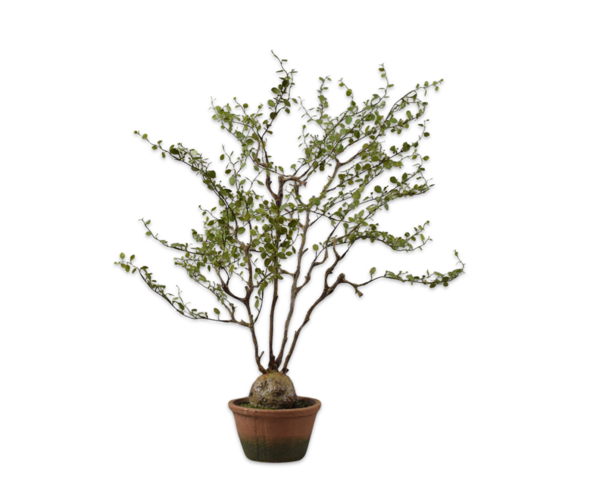 Plant groen 66 cm