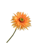 Gerbera Steel Oranje