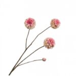 Dahlia Tak Lichtroze