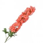 Delphinium Steel Zalm 114 cm