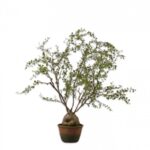 Plant Groen 86 cm