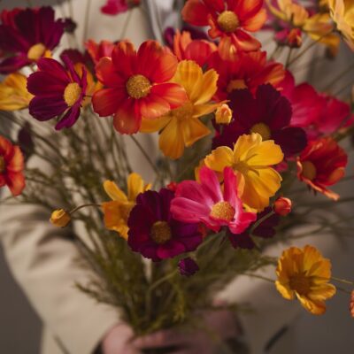 silka bloemen